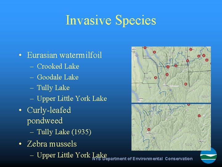 Invasive Species • Eurasian watermilfoil – – Crooked Lake Goodale Lake Tully Lake Upper