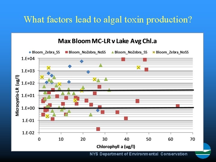 What factors lead to algal toxin production? NYS Department of Environmental Conservation 
