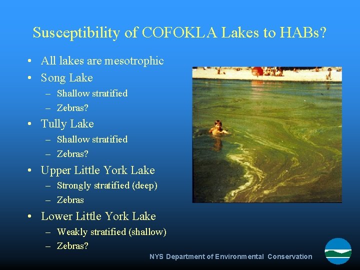Susceptibility of COFOKLA Lakes to HABs? • All lakes are mesotrophic • Song Lake