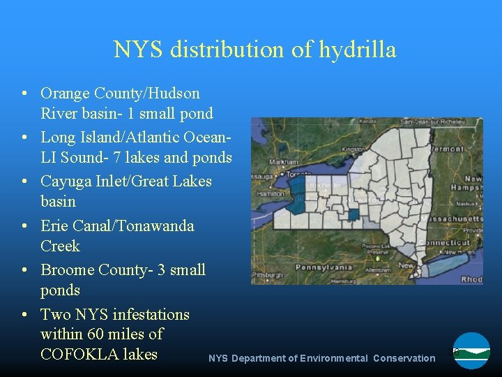 NYS distribution of hydrilla • Orange County/Hudson River basin- 1 small pond • Long
