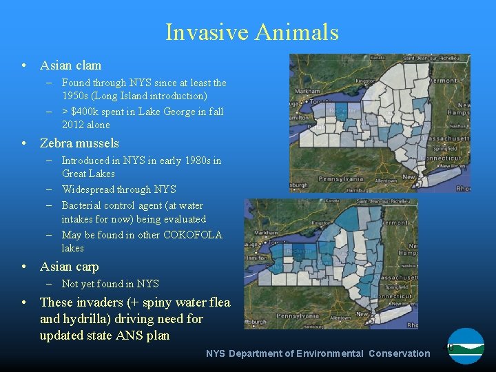 Invasive Animals • Asian clam – Found through NYS since at least the 1950