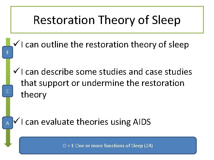 Restoration Theory of Sleep E C A I can outline the restoration theory of