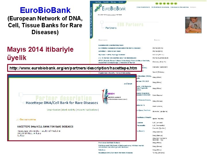 Euro. Bio. Bank (European Network of DNA, Cell, Tissue Banks for Rare Diseases) Mayıs