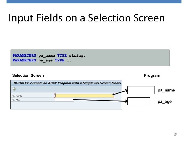 Input Fields on a Selection Screen 15 