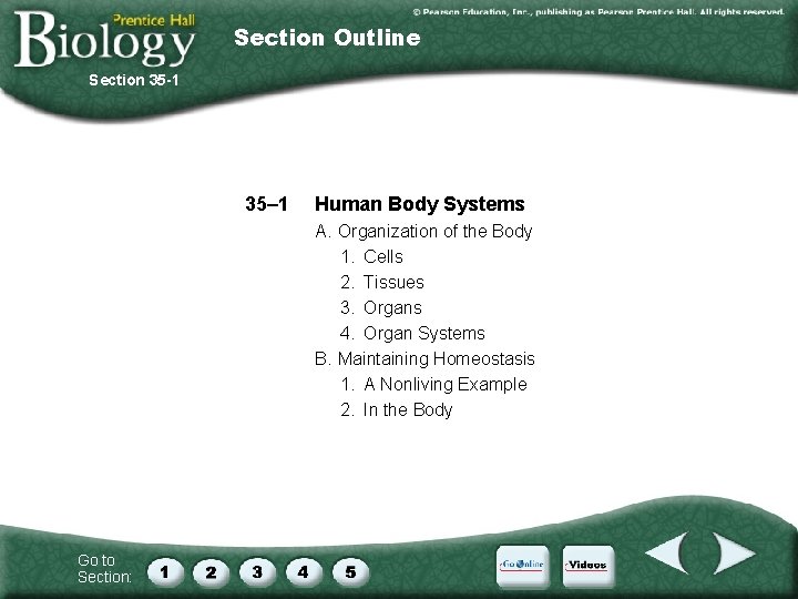 Section Outline Section 35 -1 35– 1 Human Body Systems A. Organization of the