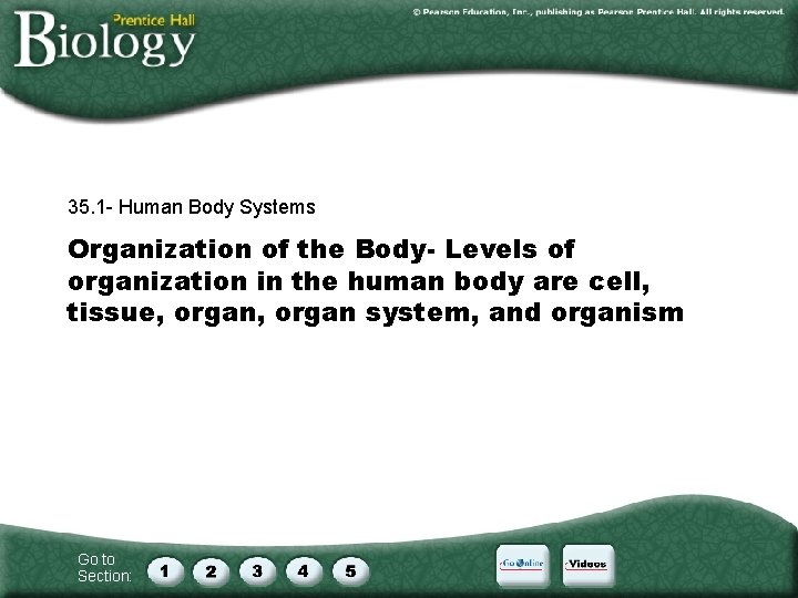 35. 1 - Human Body Systems Organization of the Body- Levels of organization in