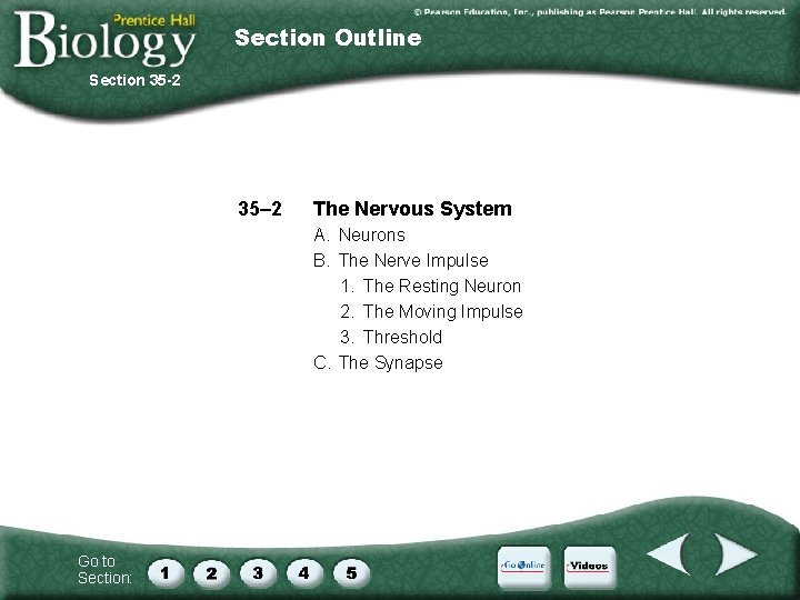 Section Outline Section 35 -2 35– 2 The Nervous System A. Neurons B. The