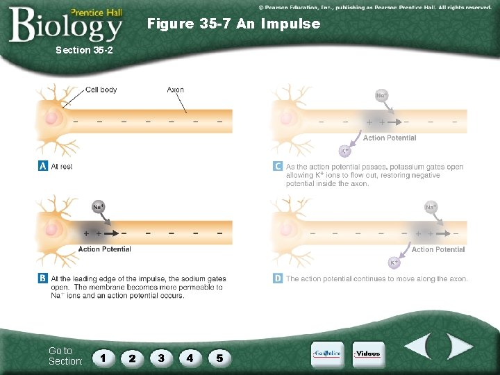 Figure 35 -7 An Impulse Section 35 -2 Go to Section: 