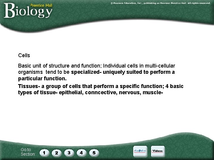 Cells Basic unit of structure and function; Individual cells in multi-cellular organisms tend to