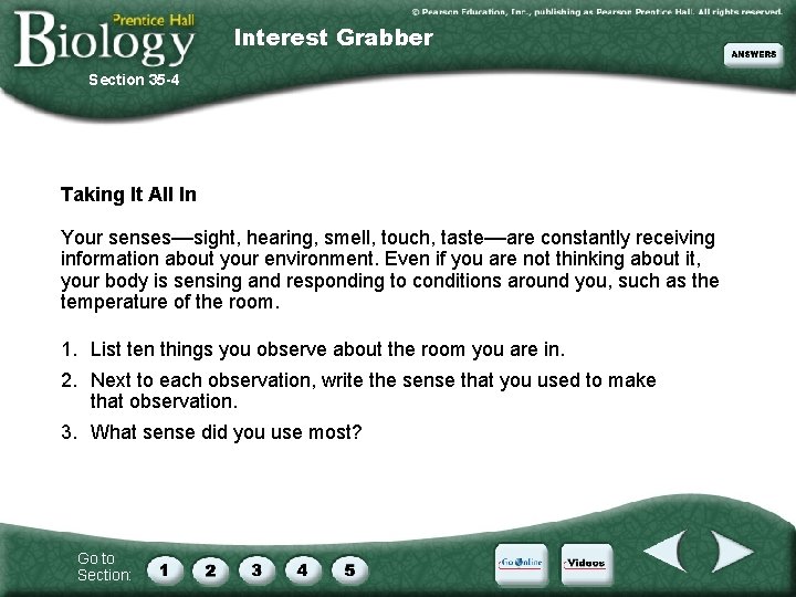 Interest Grabber Section 35 -4 Taking It All In Your senses—sight, hearing, smell, touch,