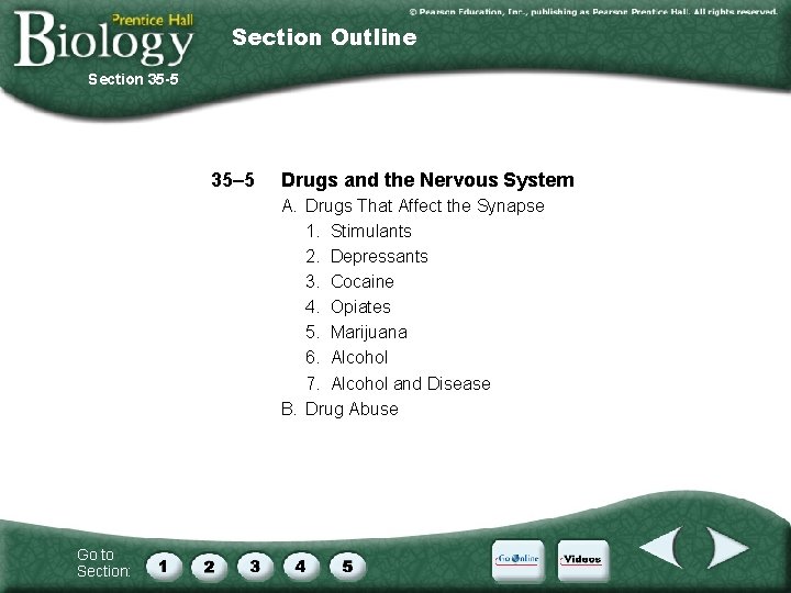 Section Outline Section 35 -5 35– 5 Drugs and the Nervous System A. Drugs