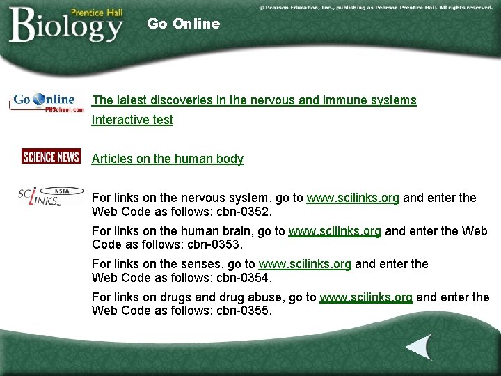 Go Online The latest discoveries in the nervous and immune systems Interactive test Articles