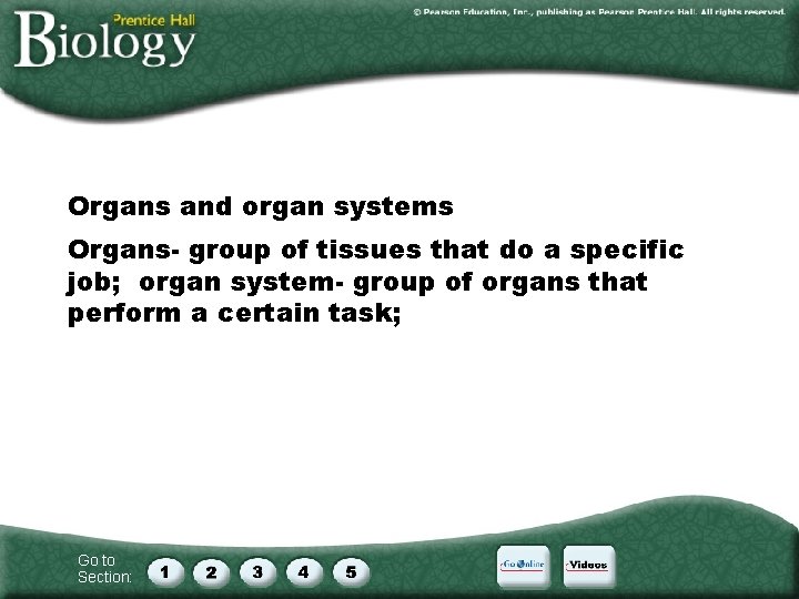 Organs and organ systems Organs- group of tissues that do a specific job; organ