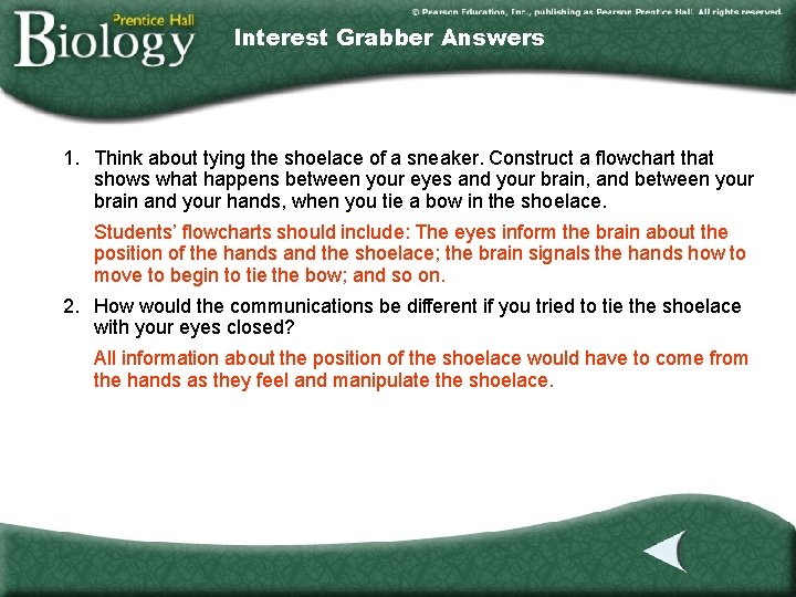 Interest Grabber Answers 1. Think about tying the shoelace of a sneaker. Construct a