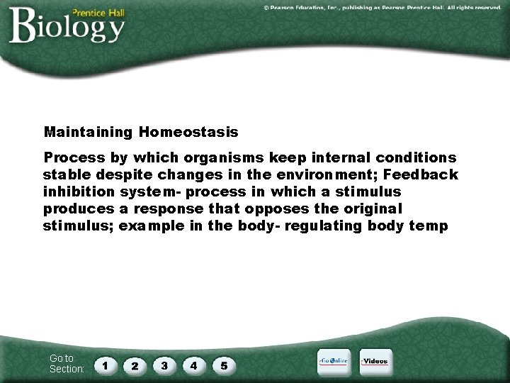 Maintaining Homeostasis Process by which organisms keep internal conditions stable despite changes in the