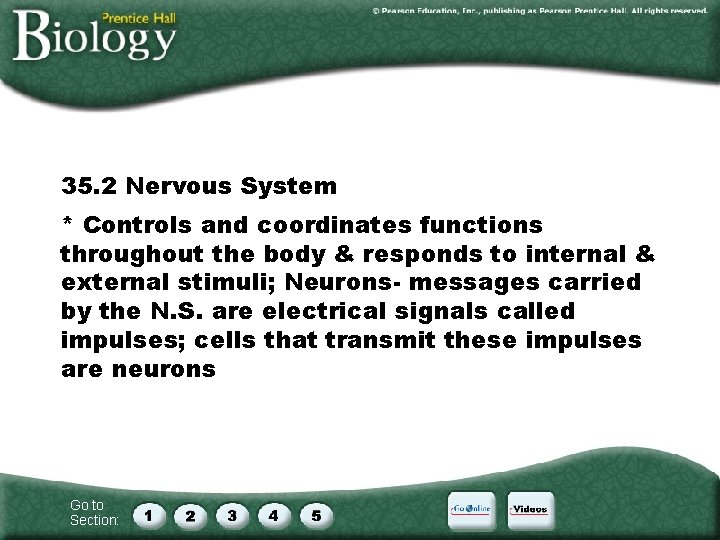 35. 2 Nervous System * Controls and coordinates functions throughout the body & responds