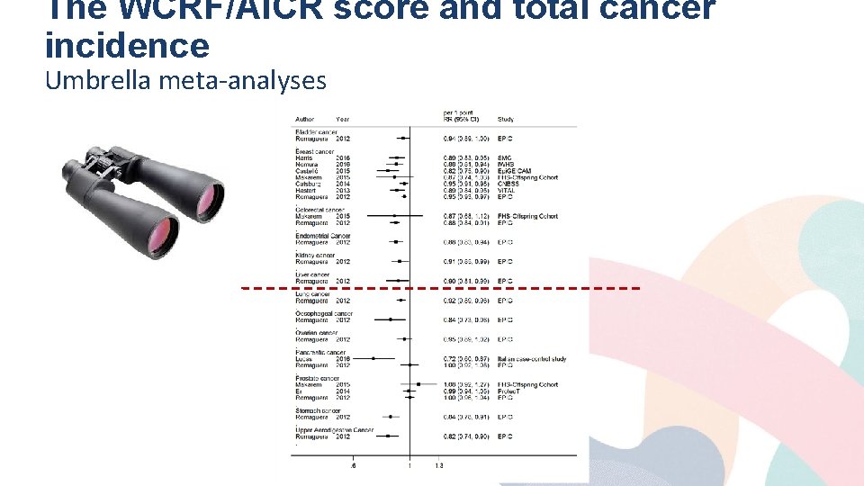 The WCRF/AICR score and total cancer incidence Umbrella meta-analyses 