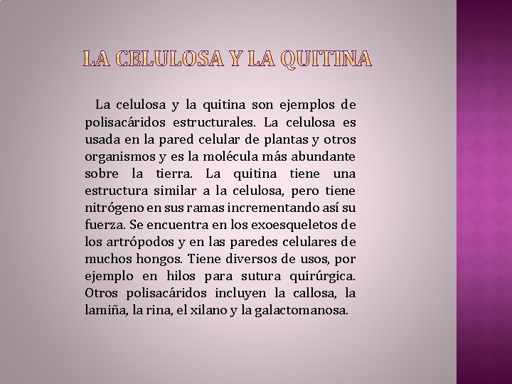 La celulosa y la quitina son ejemplos de polisacáridos estructurales. La celulosa es usada