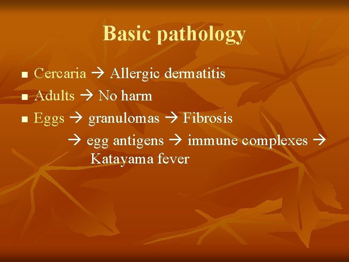 Basic pathology n n n Cercaria Allergic dermatitis Adults No harm Eggs granulomas Fibrosis
