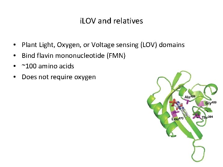 i. LOV and relatives • • Plant Light, Oxygen, or Voltage sensing (LOV) domains