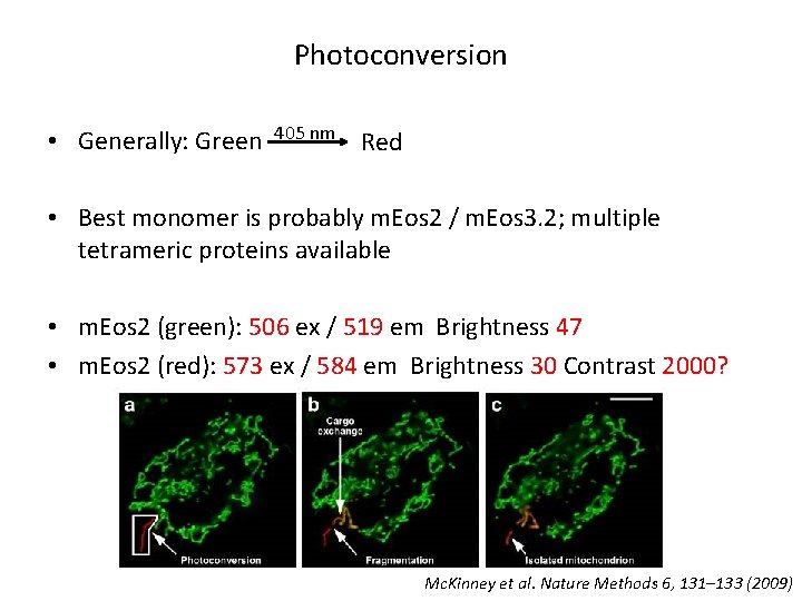 Photoconversion • Generally: Green 405 nm Red • Best monomer is probably m. Eos