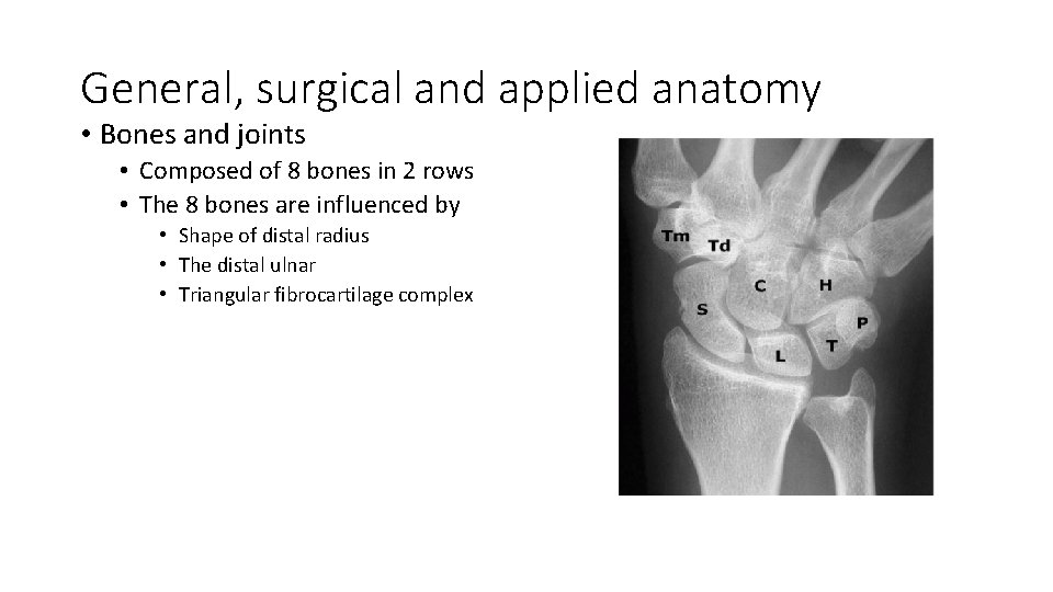 General, surgical and applied anatomy • Bones and joints • Composed of 8 bones