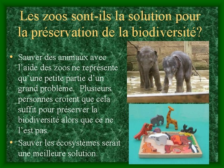 Les zoos sont-ils la solution pour la préservation de la biodiversité? • Sauver des