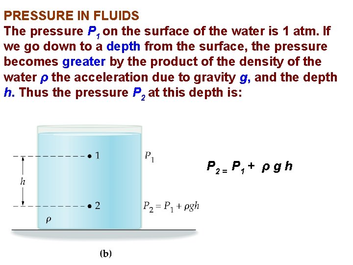 PRESSURE IN FLUIDS The pressure P 1 on the surface of the water is