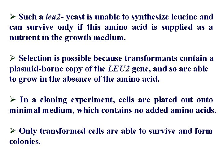 Ø Such a leu 2 - yeast is unable to synthesize leucine and can