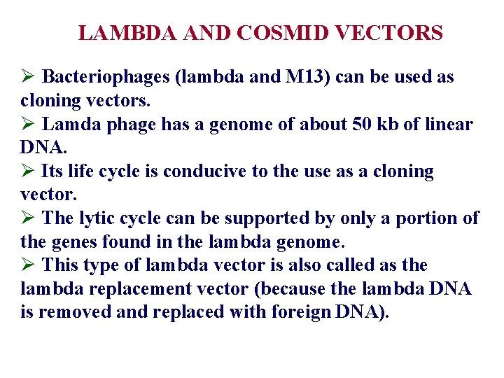 LAMBDA AND COSMID VECTORS Ø Bacteriophages (lambda and M 13) can be used as
