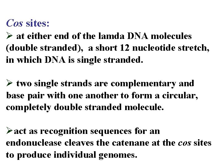 Cos sites: Ø at either end of the lamda DNA molecules (double stranded), a