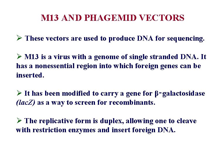  M 13 AND PHAGEMID VECTORS Ø These vectors are used to produce DNA
