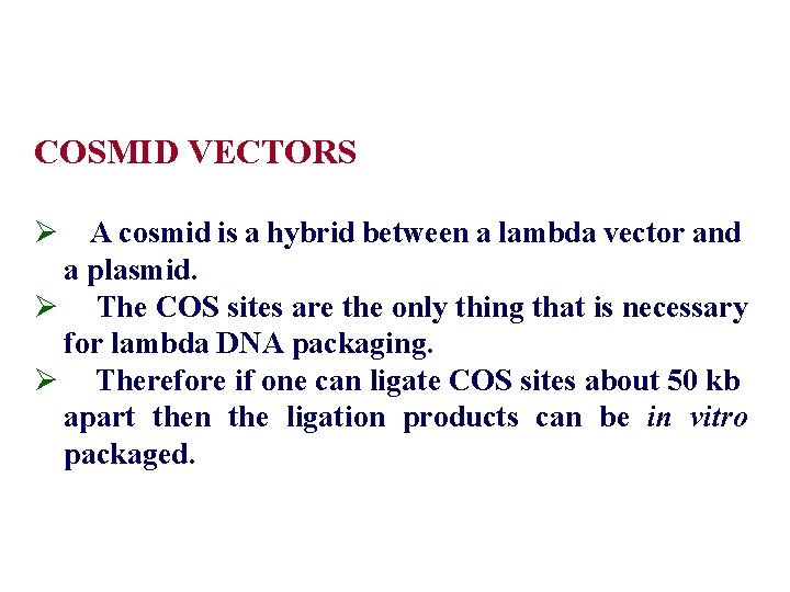  COSMID VECTORS Ø A cosmid is a hybrid between a lambda vector and