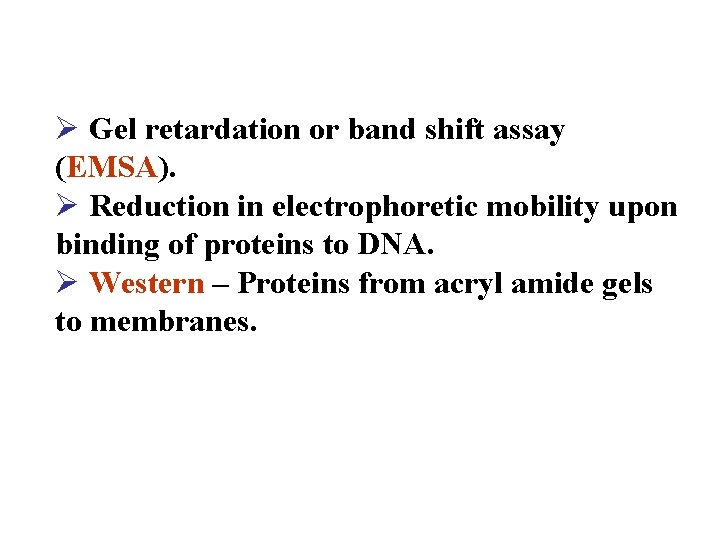 Ø Gel retardation or band shift assay (EMSA). Ø Reduction in electrophoretic mobility upon