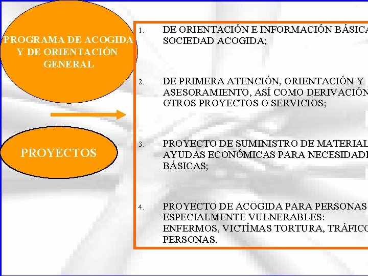 PROGRAMA DE ACOGIDA Y DE ORIENTACIÓN GENERAL PROYECTOS 1. DE ORIENTACIÓN E INFORMACIÓN BÁSICA