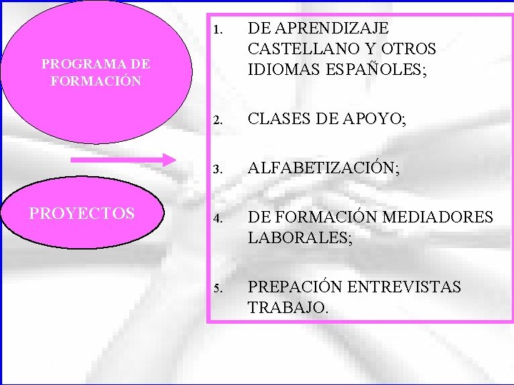 1. DE APRENDIZAJE CASTELLANO Y OTROS IDIOMAS ESPAÑOLES; 2. CLASES DE APOYO; 3. ALFABETIZACIÓN;