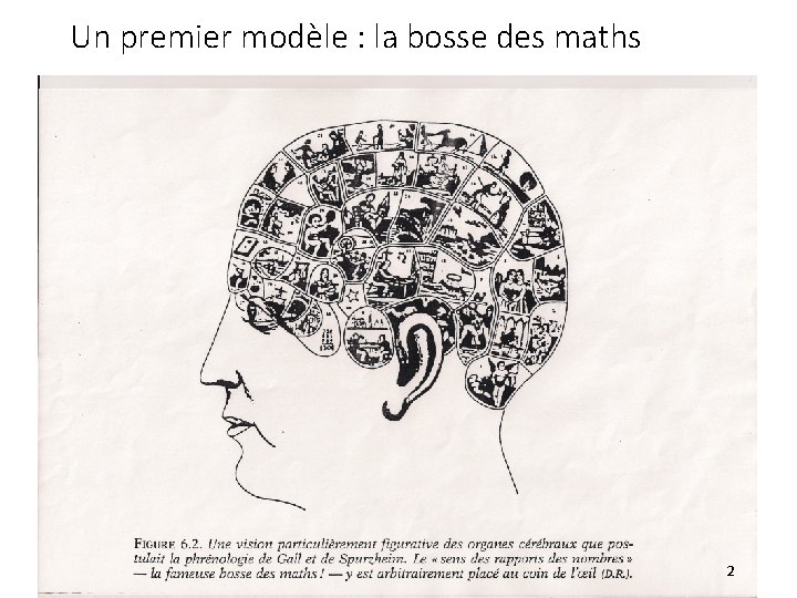 Un premier modèle : la bosse des maths 2 