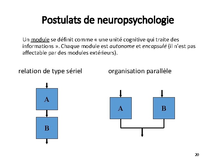 Postulats de neuropsychologie Un module se définit comme « une unité cognitive qui traite