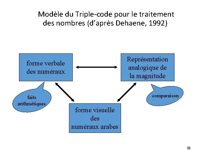 Modèle du Triple-code pour le traitement des nombres (d’après Dehaene, 1992) Représentation analogique de
