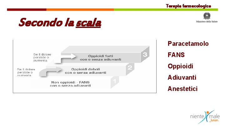 Terapia farmacologica Secondo la scala Paracetamolo FANS Oppioidi Adiuvanti Anestetici 