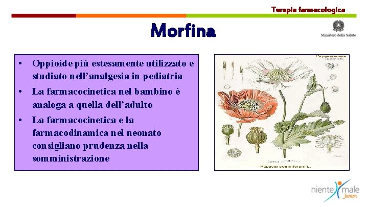 Terapia farmacologica Morfina • Oppioide più estesamente utilizzato e studiato nell’analgesia in pediatria •