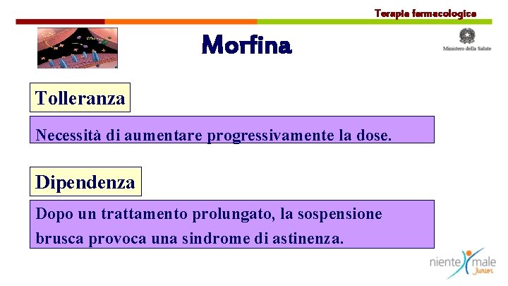 Terapia farmacologica Morfina Tolleranza Necessità di aumentare progressivamente la dose. Dipendenza Dopo un trattamento