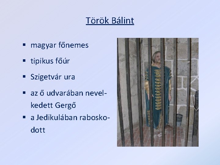 Török Bálint § magyar főnemes § tipikus főúr § Szigetvár ura § az ő