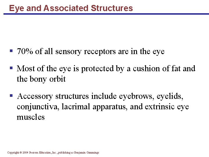 Eye and Associated Structures § 70% of all sensory receptors are in the eye
