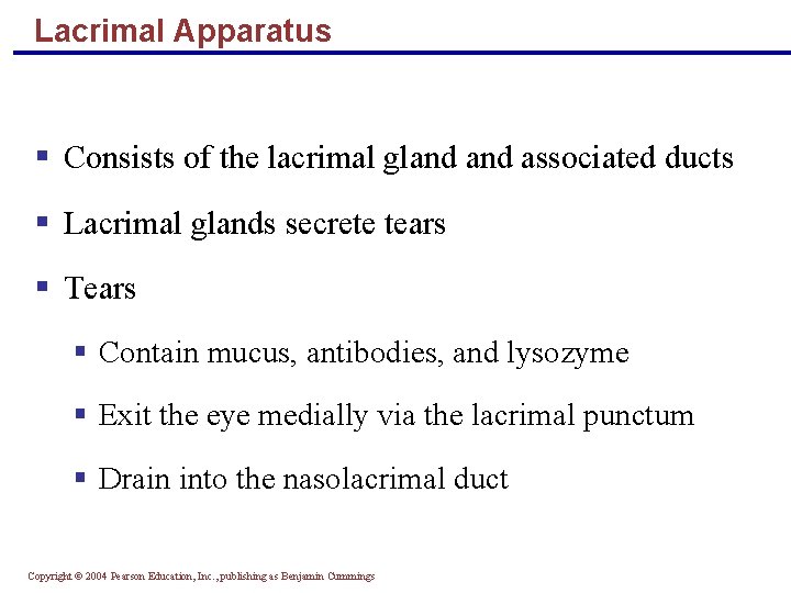 Lacrimal Apparatus § Consists of the lacrimal gland associated ducts § Lacrimal glands secrete