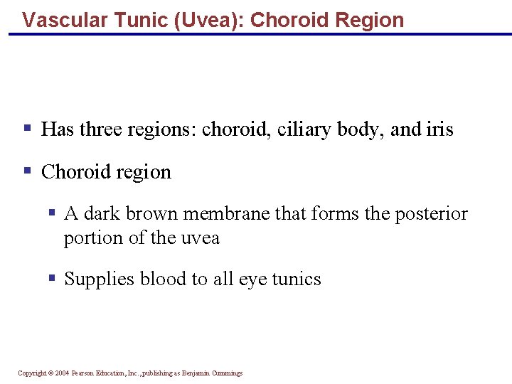 Vascular Tunic (Uvea): Choroid Region § Has three regions: choroid, ciliary body, and iris