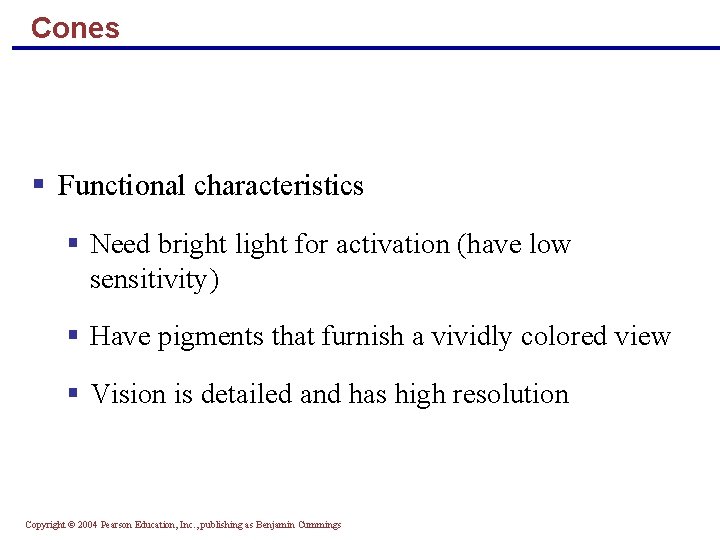 Cones § Functional characteristics § Need bright light for activation (have low sensitivity) §