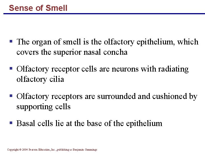 Sense of Smell § The organ of smell is the olfactory epithelium, which covers