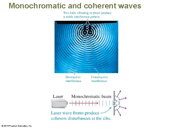 Monochromatic and coherent waves © 2014 Pearson Education, Inc. 