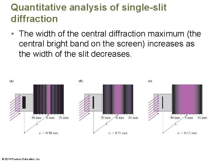 Quantitative analysis of single-slit diffraction • The width of the central diffraction maximum (the